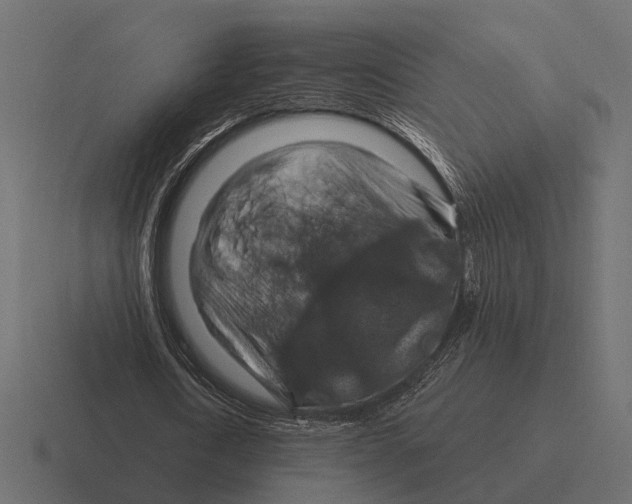 X0000116280722200912291352