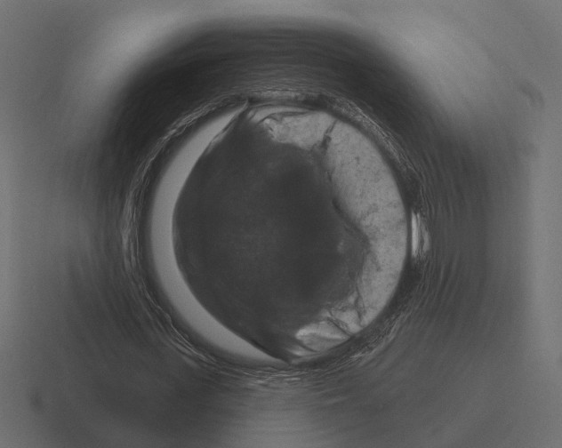 X0000116280723200912291352
