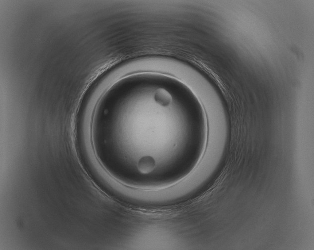 X0000116280725200912291352