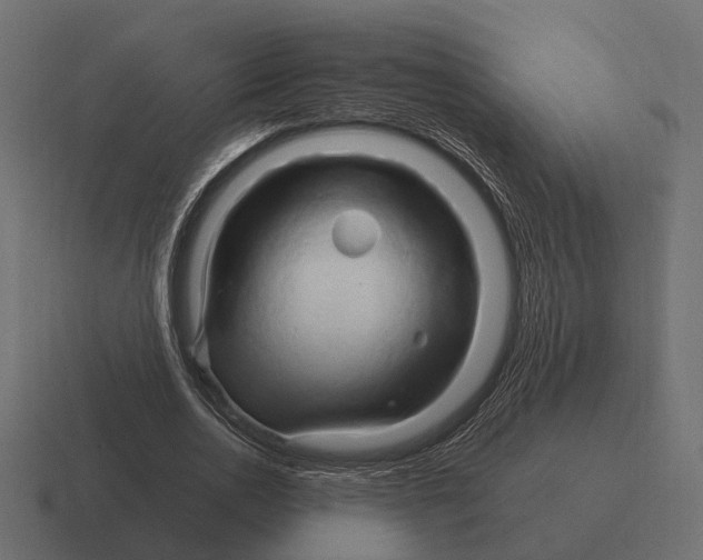 X0000116280726200912291352