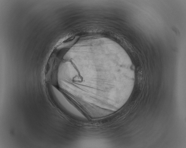 X0000116280727200912291352