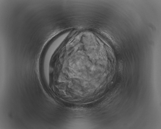 X0000116280730200912291352
