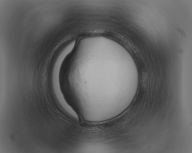 X0000116280731200912291352