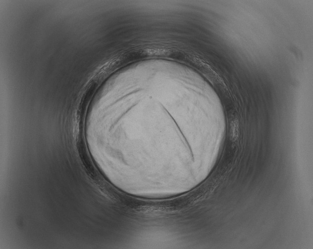 X0000116280733200912291352