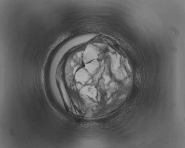 X0000116280734200912291352