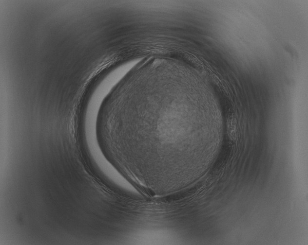X0000116280735200912291352