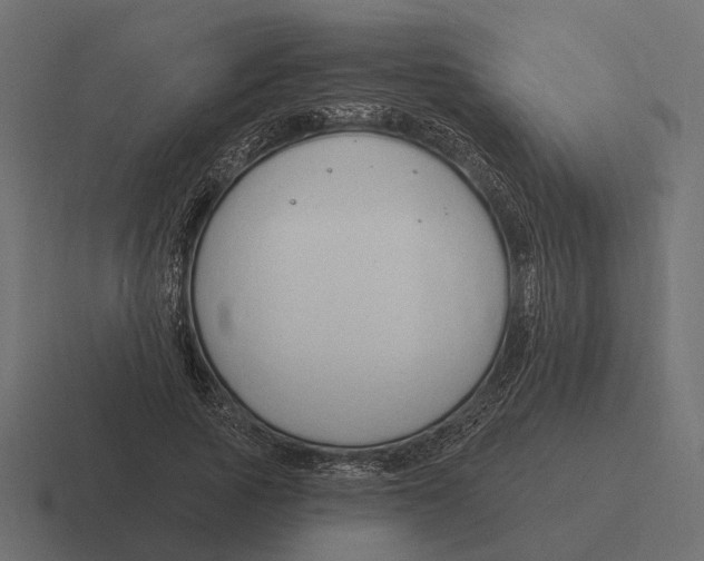 X0000116280737200912291352