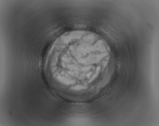 X0000116280745200912291352