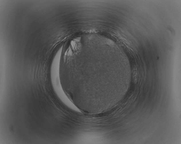 X0000116280747200912291352
