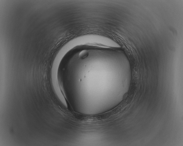 X0000116280750200912291352