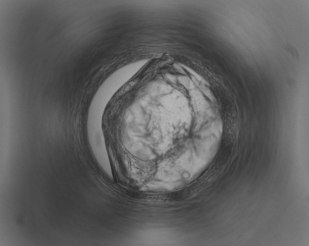 X0000116280758200912291353