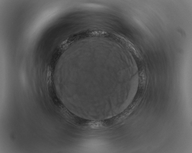 X0000116280762200912291353