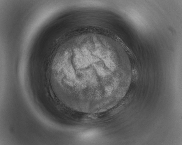 X0000116280765200912291353