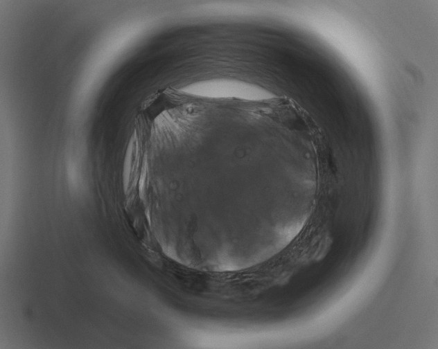 X0000116280766200912291353