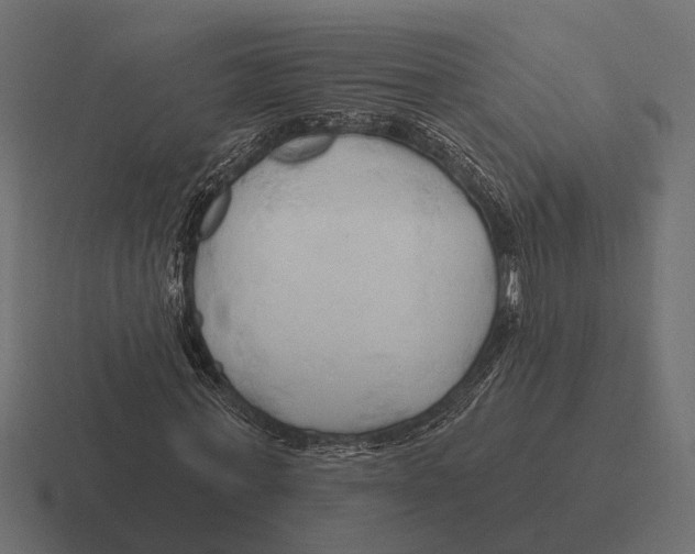 X0000116280771200912291352