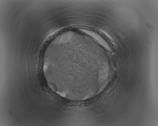 X0000116280775200912291352