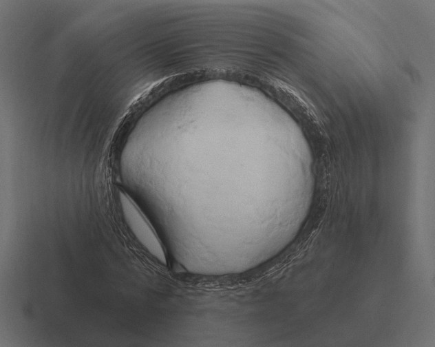 X0000116280776200912291352