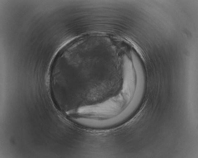 X0000116280779200912291352