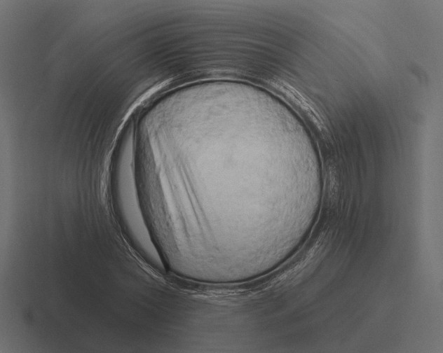 X0000116280782200912291352