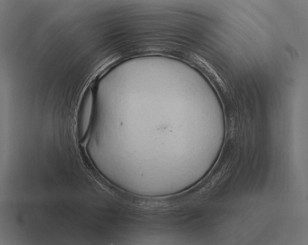 X0000116280786200912291352