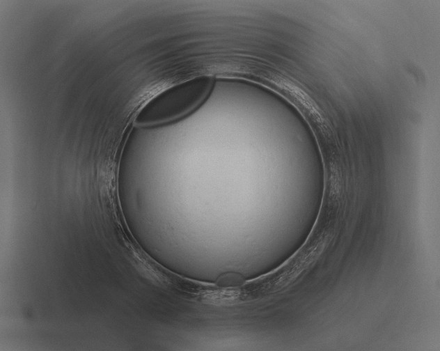 X0000116280793200912291352