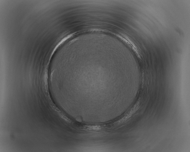 X0000116280798200912291352
