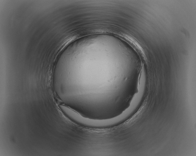 X0000116280801200912291352