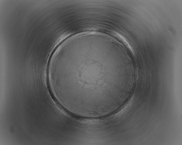 X0000116280802200912291352
