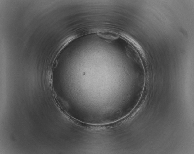 X0000116280809200912291352