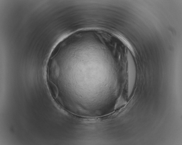 X0000116280813200912291352