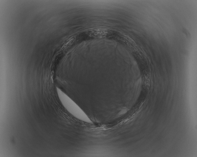 X0000116280818200912291351