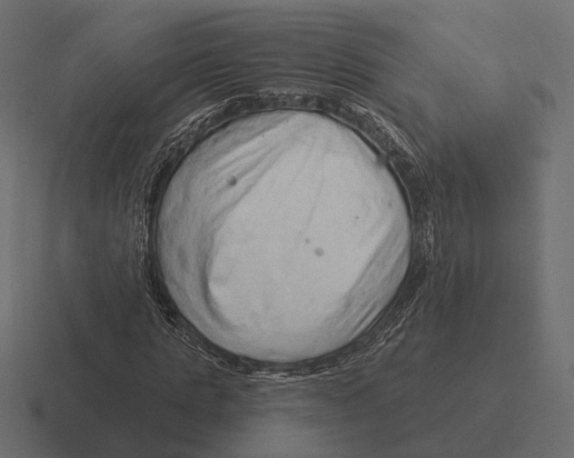 X0000116280821200912291351