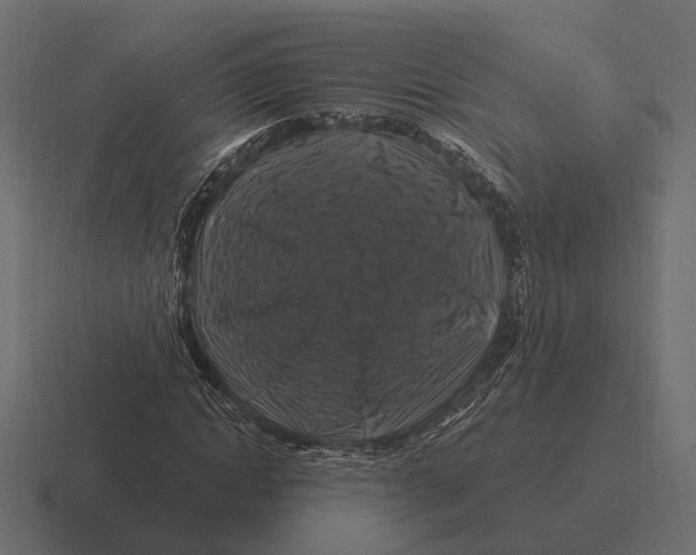 X0000116280822200912291351