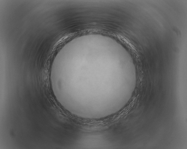 X0000116280824200912291351