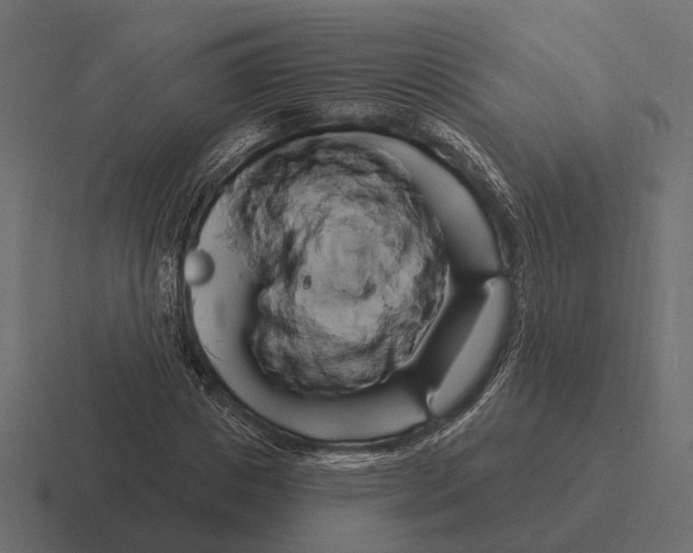 X0000116280825200912291351