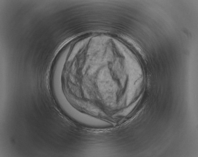 X0000116280829200912291351