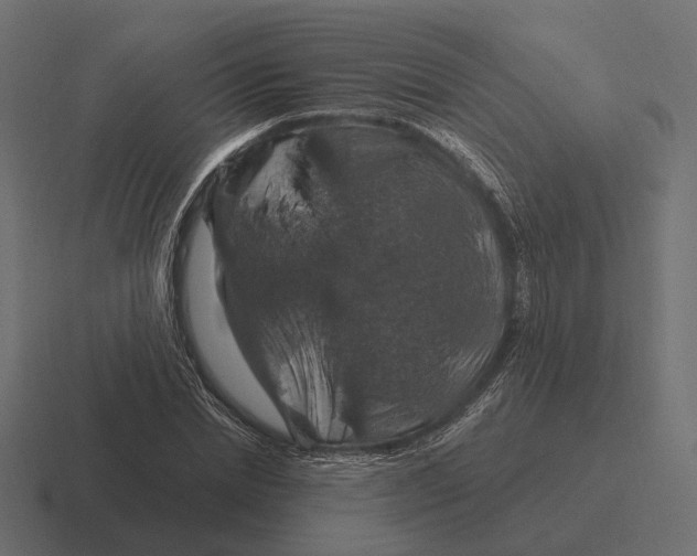 X0000116280830200912291351