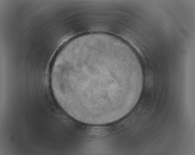 X0000116280832200912291351