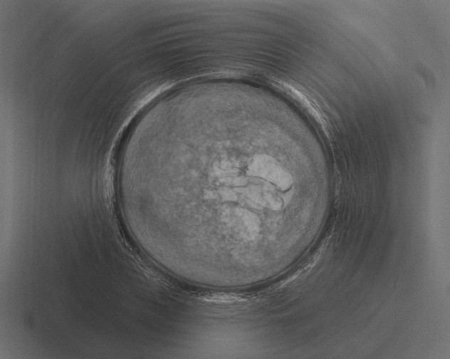 X0000116280835200912291351