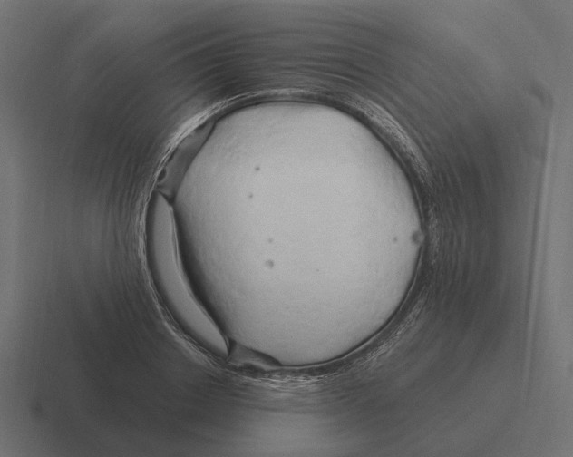 X0000116280842200912291351