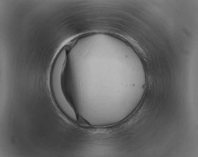 X0000116280846200912291351