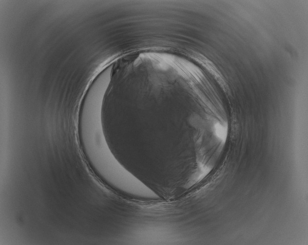 X0000116280850200912291351