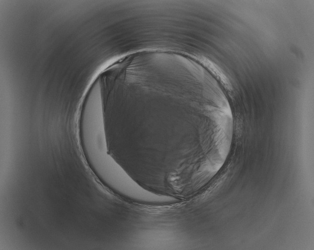 X0000116280854200912291351