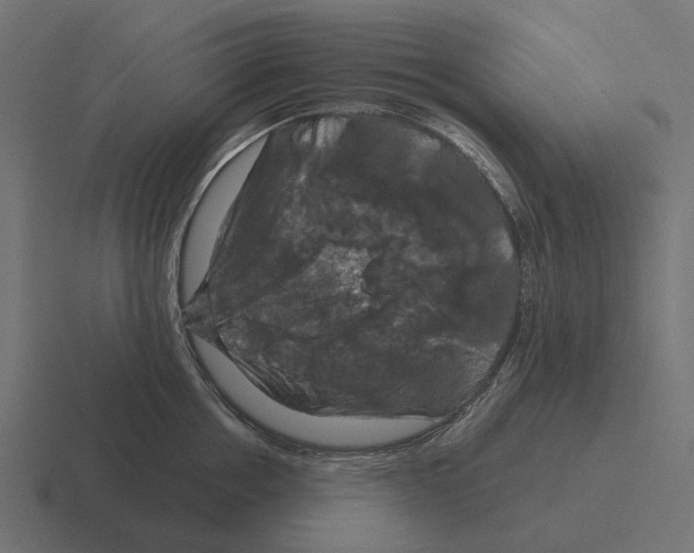 X0000116280858200912291351