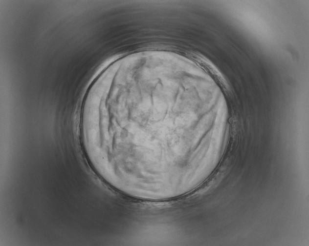 X0000116280860200912291351