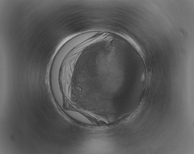 X0000116280862200912291351