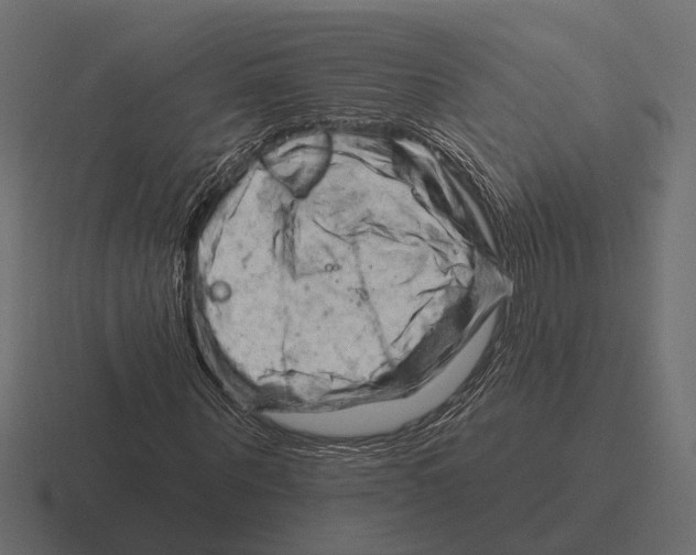 X0000116280867200912291351