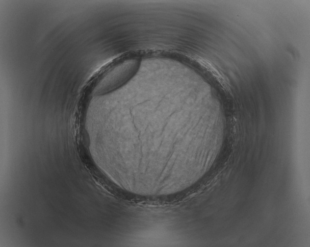 X0000116280872200912291351
