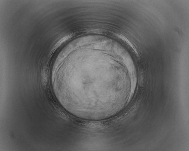 X0000116280874200912291351