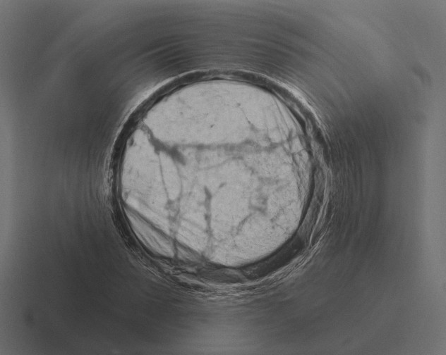 X0000116280879200912291351